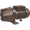 BOMBA AUTOASPIRANTE 1.00 HP BAICO JET 100 NORYL
