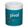 LATEX PIVAL EXTERIOR-INTERIOR BLANCO - 4-LT