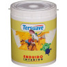 ENDUIDO PLASTICO TERSUAVE INTERIOR - 4-LT