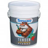 LATEX TERSEN INTERIOR BLANCO - 1-LT