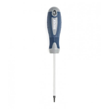 DESTORNILLADOR BREMEN TORX T 8 X 100          2818