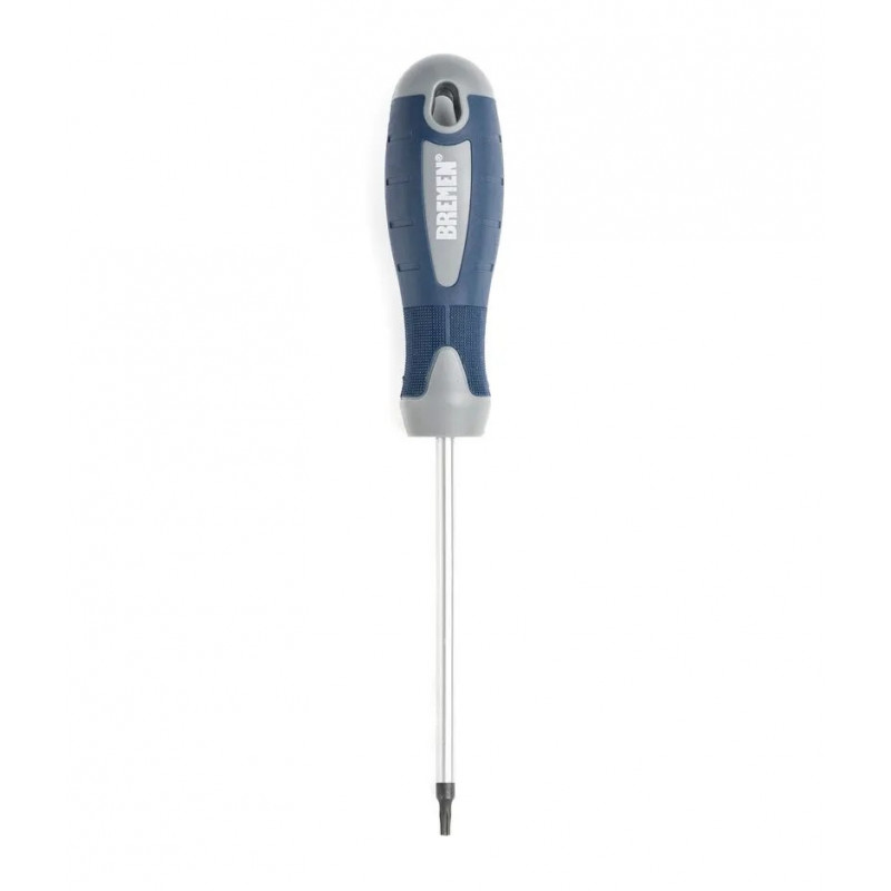 DESTORNILLADOR BREMEN TORX T30 X 100          2824