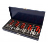 INSERTO BREMEN JUEGO X 131 PZS                6655