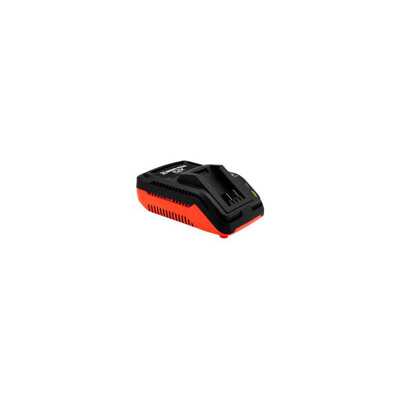 CARGADOR DE BATERIAS DOWEN PAGIO FLEX ONE  9998155