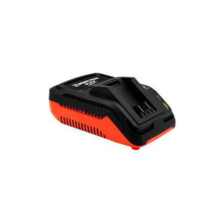 CARGADOR DE BATERIAS DOWEN PAGIO FLEX ONE  9998155
