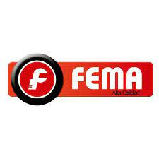 FEMA